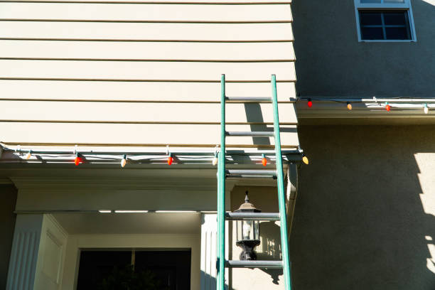 Professional Siding Services in Fishhook, AK